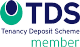 TDS Logo